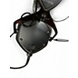 Used V-MODA CROSSFADE M100 Studio Headphones