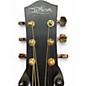 Used McPherson CARBON SABLE HONEYCOMB TOP Acoustic Electric Guitar