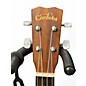 Used Cordoba 20TMCE Tenor Mahogany Ukulele