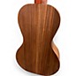 Used Don Gardner Instruments Parlor  Spalted Maple Acoustic Guitar