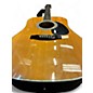 Used Esteban ACOUSTIC Natural Acoustic Electric Guitar