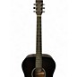 Used Power Acoustik Raven Mahogany Acoustic Guitar