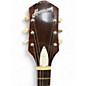 Vintage 1960s Harmony H-74 Meteor Tobacco Sunburst Hollow Body Electric Guitar