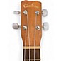 Used Cordoba 15CM Concert Natural Ukulele