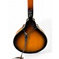 Used Rogue rm100a Tobacco Burst Mandolin