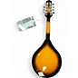 Used Rogue RM100A A Style Tobacco Sunburst Mandolin