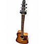 Used Seagull Entourage Rustic Cutaway Honey Burst Acoustic Electric Guitar thumbnail