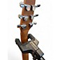 Used Seagull Entourage Rustic Cutaway Honey Burst Acoustic Electric Guitar