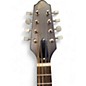 Used The Loar LM110 BROWN BURST Mandolin