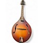 Used The Loar LM110 BROWN BURST Mandolin