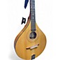 Used Sherwood BOUZOUKI Natural