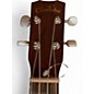 Used Cordoba Protege U1 Concert Natural Ukulele