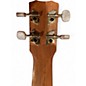 Used Cordoba Protege U1 Concert Natural Ukulele