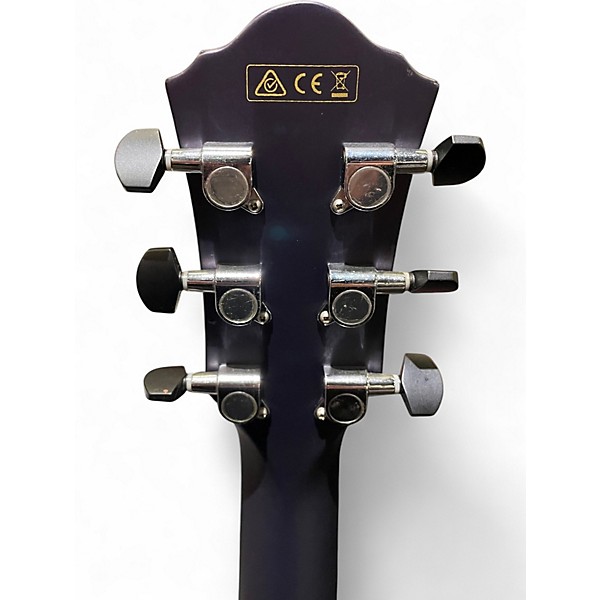Used Ibanez AEWC10 Purple Classical Acoustic Electric Guitar