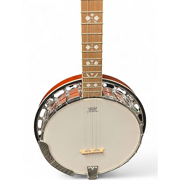 Used Recording King RKR20 Bluegrass Series Songster Natural Banjo