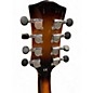 Used Gold Tone Mandocello Tobacco Sunburst Mandolin