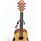 Used Washburn Apprentice AGM5K Natural Acoustic Guitar