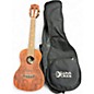 Used Luna Henna Dragon Mahogany Concert Mahogany Ukulele thumbnail