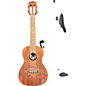 Used Luna Henna Dragon Mahogany Concert Mahogany Ukulele