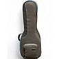 Used Reunion Blues Acoustic Guitar Gig Bag Acoustic Guitar Gig Bag thumbnail