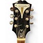 Used Epiphone Wildkat Gold Hollow Body Electric Guitar