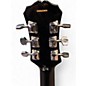 Used Epiphone LES PAUL SPECIAL II LTD 2 Color Sunburst Solid Body Electric Guitar