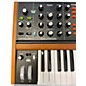 Used Behringer POLY D Synthesizer