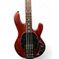 Used Sterling by Music Man Sub 4 Walnut Satin Electric Bass Guitar