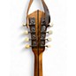 Used Vega BANJOLIN Natural Mandolin