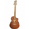 Breedlove WILDWOOD CONCERTO SATIN CE Mahogany Acoustic Guitar