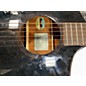 Used Breedlove RAINFOREST S CONCERT PA CE BLACK GOLD Acoustic Electric Guitar