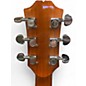 Used Fretflow RESO GUITAR TIGER Resonator Guitar