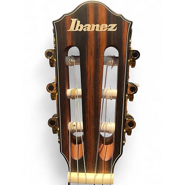 Used Ibanez AEQ210T Purple Classical Acoustic Electric Guitar