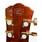 Used Washburn WD100DLMKU Mahogany Acoustic Guitar