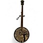 Used Washburn B-14 Brown Banjo thumbnail