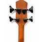 Used Gold Tone m-bass Natural Electric Bass Guitar