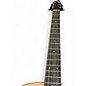 Used Breedlove Passport C250/CME Natural Acoustic Electric Guitar