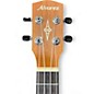 Used 2000s Alvarez GDU26C TATTOO TATTOO GREATEFUL DEAD Ukulele
