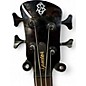 Used Spector bantam 4 Black Cherry Electric Bass Guitar