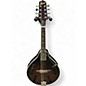 Used Ibanez M510 A Style Chocolate Mandolin thumbnail