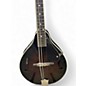 Used Ibanez M510 A Style Chocolate Mandolin