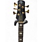 Used Spector euro lx 5 wood Electric Bass Guitar