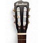 Used Breedlove Discovery S Concert Mahogany Classical Acoustic Guitar