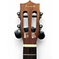 Used Enya EUT-X1 Worn Brown Ukulele
