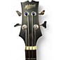 Used Mitchell T239BCE Mahogany Acoustic Bass Guitar