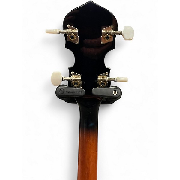 Used Rogue B30 NATURAL Banjo
