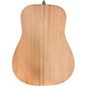 Used Walden D550 Natural Acoustic Guitar