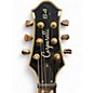 Used Carparelli s4 tiger burst Solid Body Electric Guitar