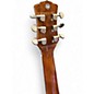 Used Luna Fauna Butterfly TRANSPARENT NATURAL Acoustic Electric Guitar