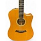 Used Taylor W 10 CE SPRUCE WALNUT Acoustic Guitar